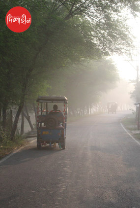 Dishaheen sundarbans tour